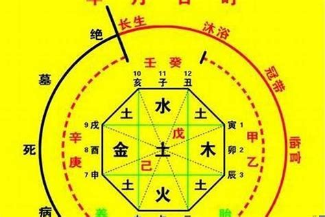 看命格|生辰八字算命、五行喜用神查询（免费测算）